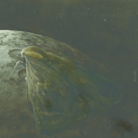 Augrimmer - Moth And The Moon (CD)