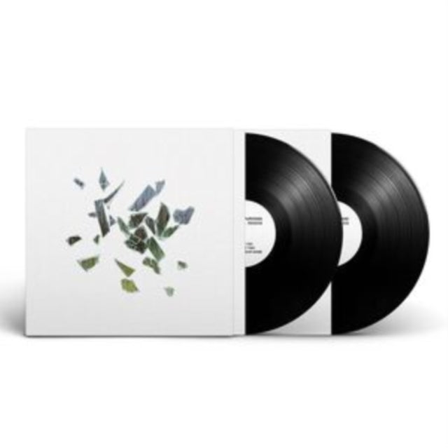 These New Puritans - Field Of Reeds (10th Anniversary Edition) (Etched Vinyl) (Vinyl)