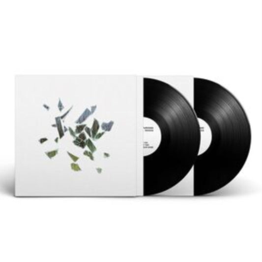 These New Puritans - Field Of Reeds (10th Anniversary Edition) (Etched Vinyl) (Vinyl)