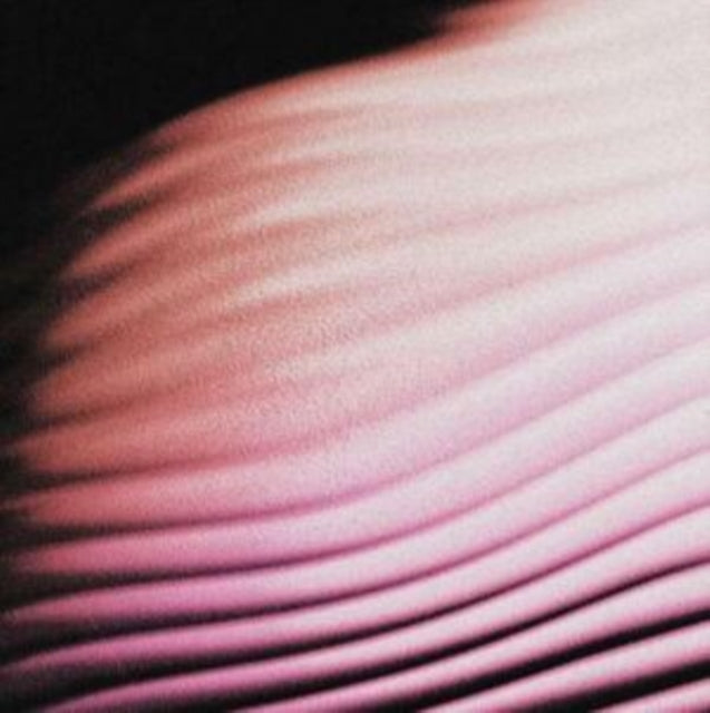 Polar - Everything. Everywhere (Vinyl)
