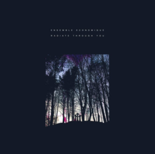 Ensemble Economique - Radiate Through You (Vinyl)