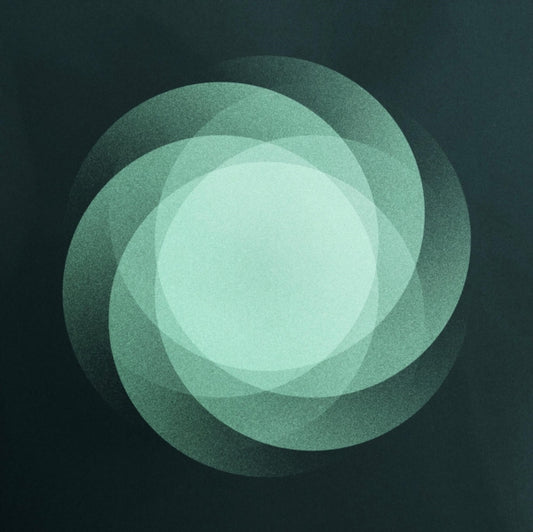 Som - The Shape Of Everything (Vinyl)