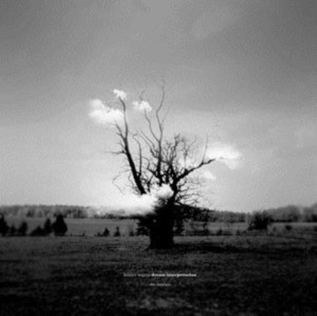 Kazuya Nagaya - Dream Interpretation (The Remixes) (Vinyl)