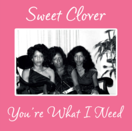 Sweet Clover - Youre What I Need (Vinyl Single)