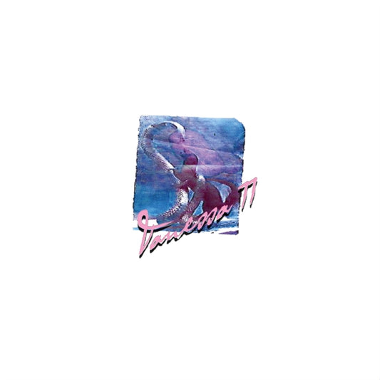 Vanessa Worm - Vanessa 77 (Vinyl)