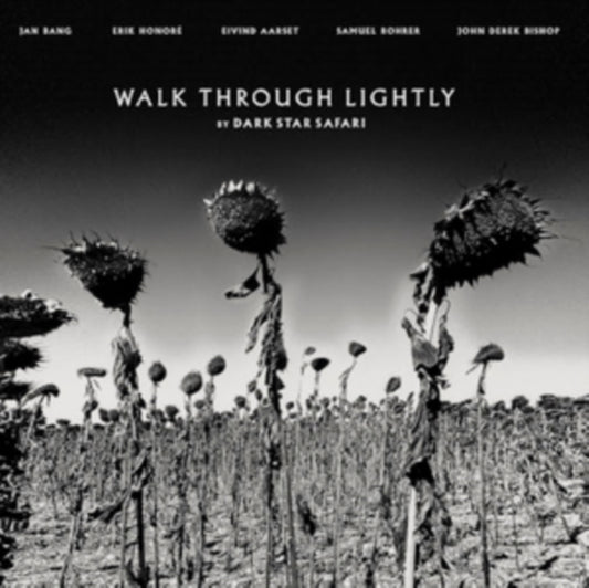 Dark Star Safari - Walk Through Lightly (Vinyl)