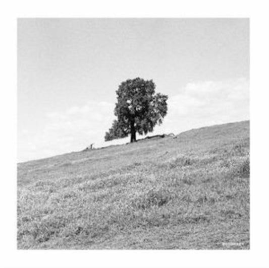 Blank Gloss - Cornered (Vinyl)