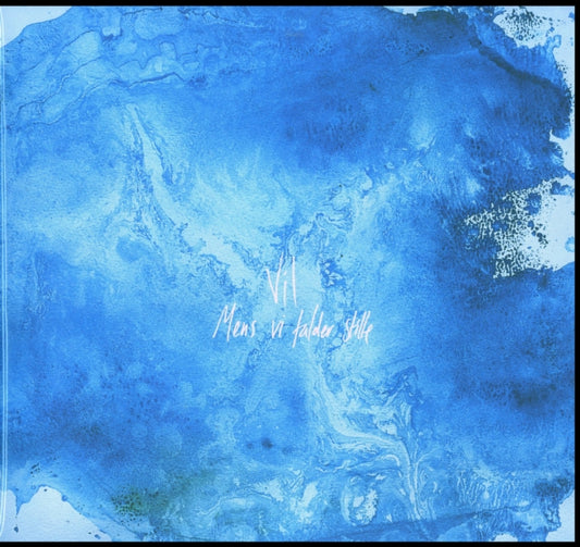 Vil - Mens Vi Falder Stille (Vinyl)