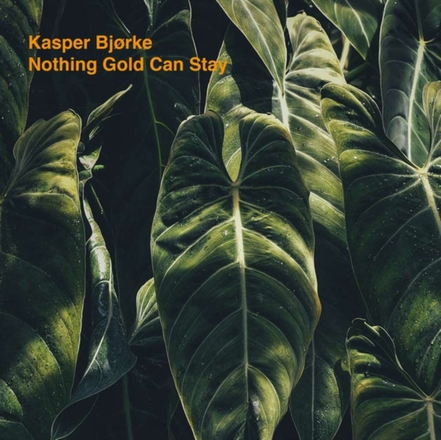 Kasper Bjorke - Nothing Gold Can Stay (Vinyl)