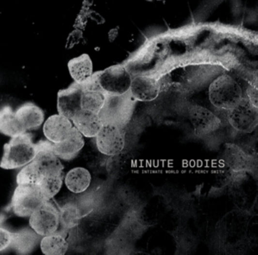 Tindersticks - Minute Bodies: The Intimate World Of F. Percy Smith (CD + DVD)