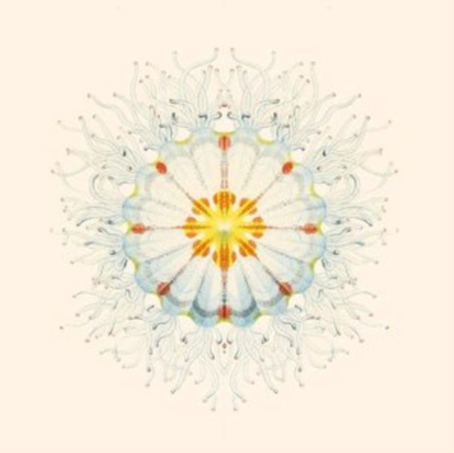 Charlie Charlie - Litte Things (Vinyl)