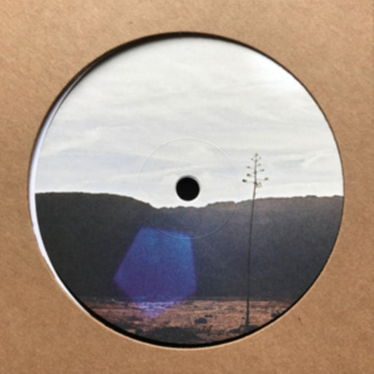 Jakob Seidensticker - After Were All Gone EP (Vinyl)