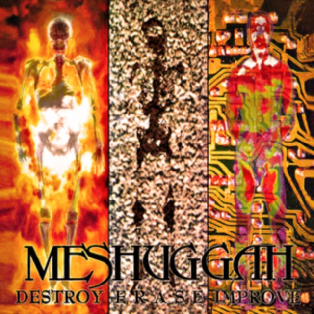 Meshuggah - Destroy Erase Improve (30th Anniversary Edition) (Gray/Black/White Marble Vinyl) (Vinyl)