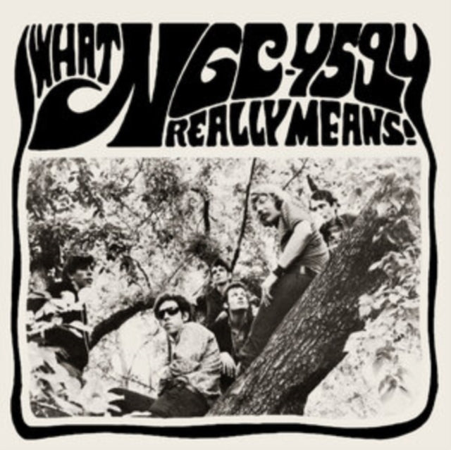 Ngc-4594 - What Ngc-4594 Really Means! (Vinyl + Vinyl Single)