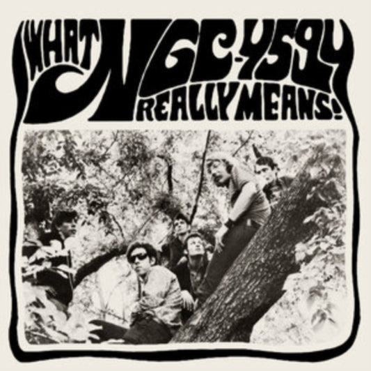 Ngc-4594 - What Ngc-4594 Really Means! (Vinyl + Vinyl Single)