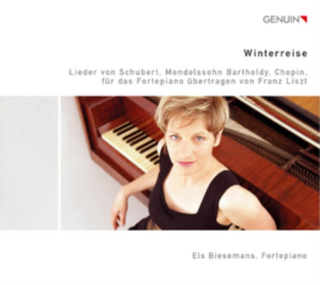 Els Biesemans - Winterreise (CD)