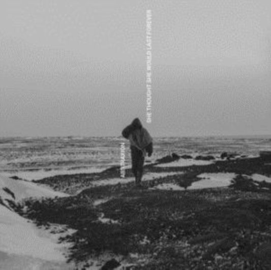 Abstraxion - She Thought She Would Last Forever (CD)