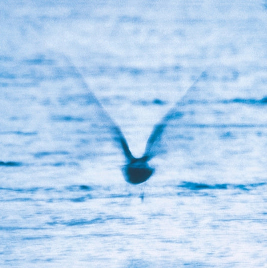Ryo Fukui - Mellow Dream (Reissue) (Vinyl)