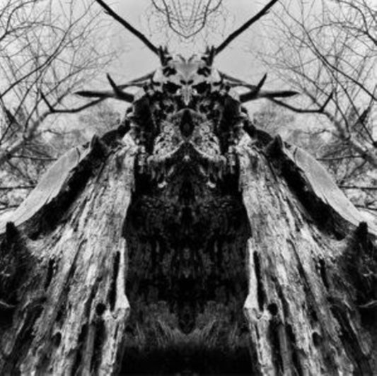 Rulaman - To Serve The Dune (CD)