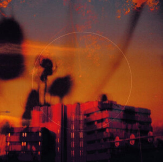 Bismut - Matsutake (Vinyl)