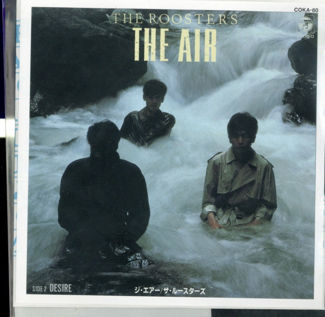 Roosters - The Air (Vinyl Single)