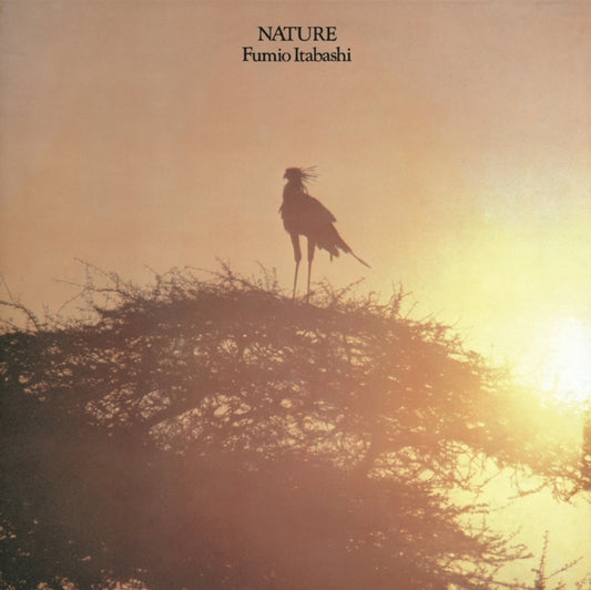 Fumio Itabashi - Nature (Vinyl)