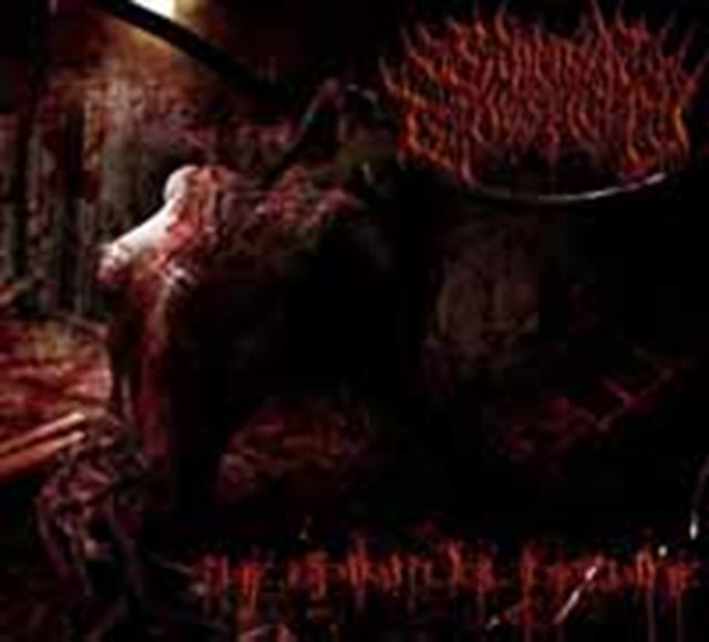 Suicidal Causticity - The Spiritual Decline (CD)