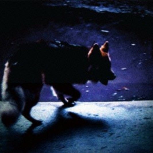 Video Nasties - On All Fours (CD)