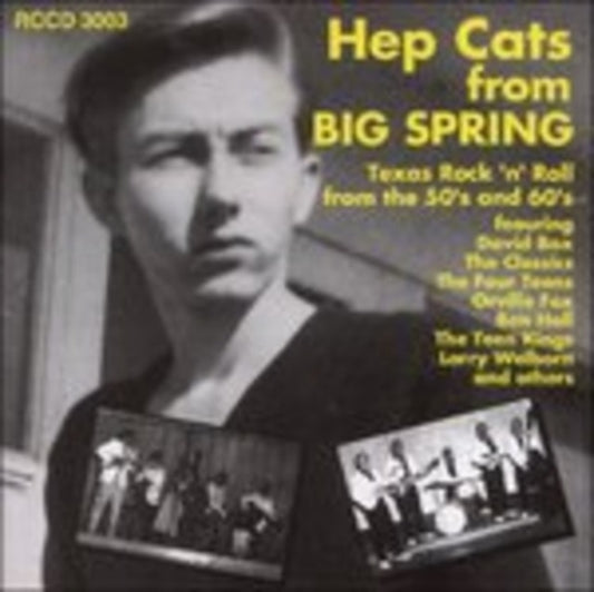 Various Artists - Hep Cats From Big Spring (CD)
