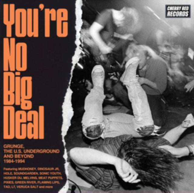 Various Artists - Youre No Big Deal - Grunge / The U.S. Underground And Beyond 1984-1994 (Clamshell) (CD)