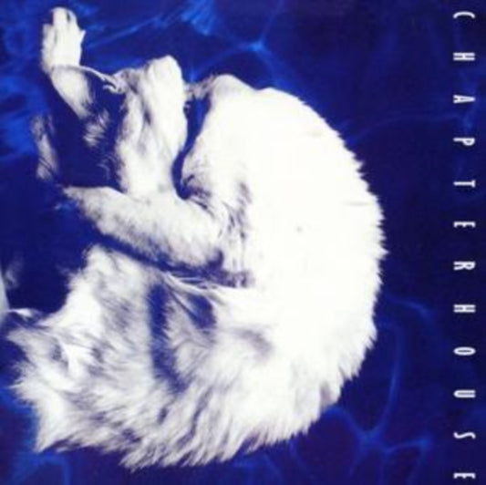 Chapterhouse - Whirlpool (CD)