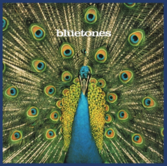 Bluetones - Expecting To Fly (CD)