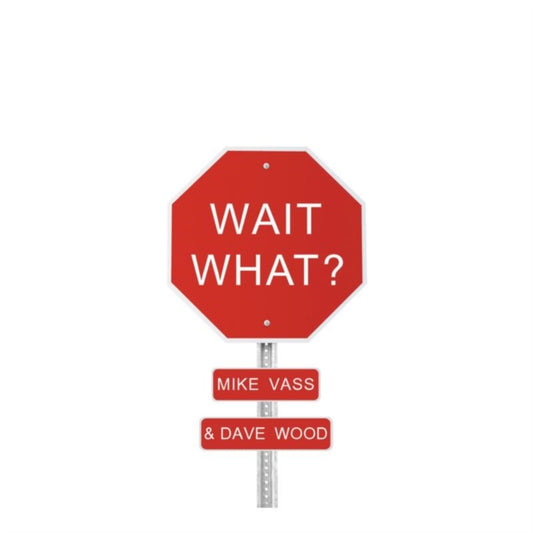 Mike Vass & Dave Wood - Wait What (CD)