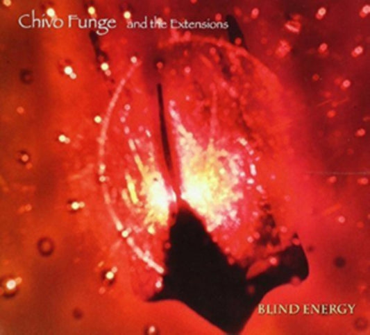 Chivo Funge And The Extensions - Blind Energy (CD)