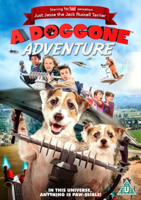 A Doggone Adventure (DVD)