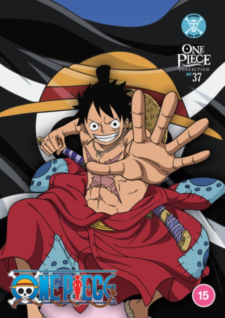 One Piece - Collection 37 (DVD)