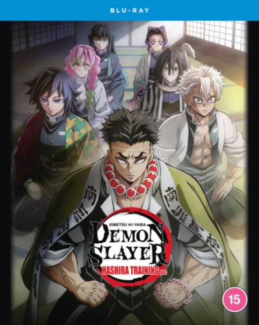 Demon Slayer: Kimetsu No Yaiba: Hashira Training Arc (Blu-ray)