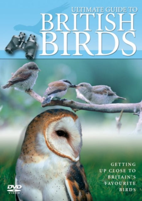 Ultimate Guide To British Birds (DVD)