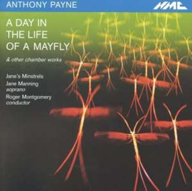 Janes Minstrels - Payne (CD)