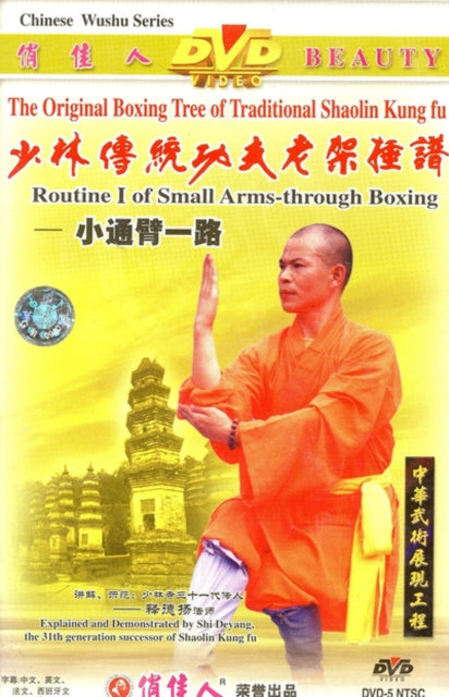 Routine 1 Small Arms Through Boxing (DVD)