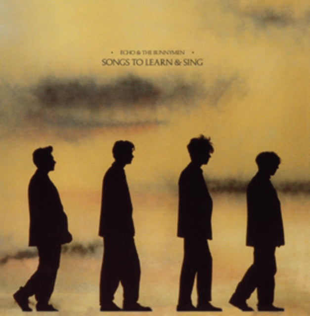 Echo & The Bunnymen - Songs To Learn & Sing (Yellow & Black Marble) (Vinyl)