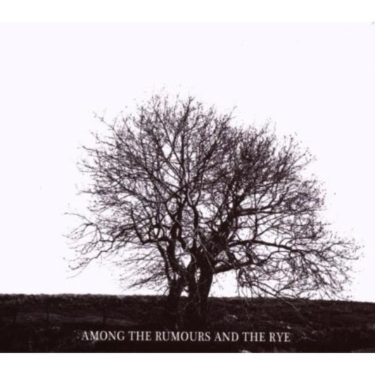 Mr. David Viner - Among The Rumours And The Rye (CD)