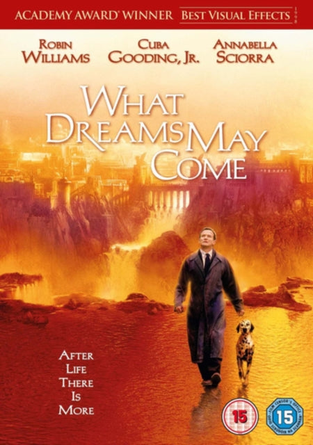 What Dreams May Come (DVD)