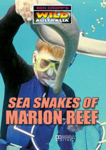 Sea Snakes Of Marion Reef (DVD)