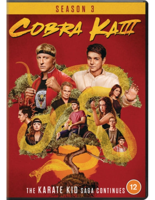 Cobra Kai - Seasons 03 (DVD)