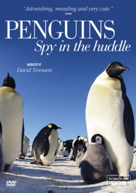 Penguins Spy In The Huddle (DVD)