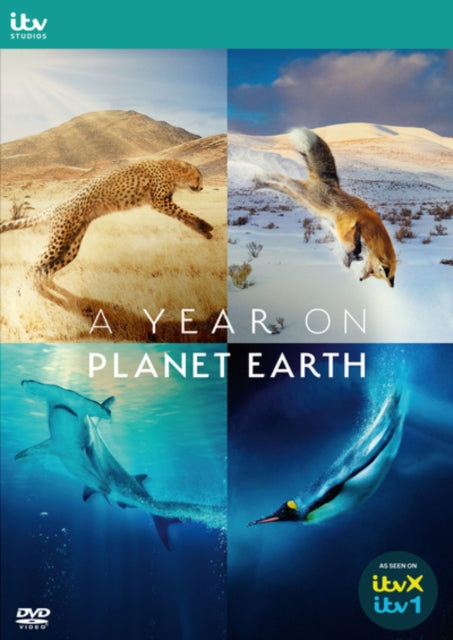 A Year On Planet Earth (DVD)