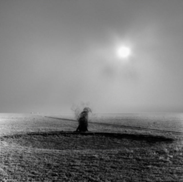 Leo Svirsky - Heights In Depths  Depths In Heights (Vinyl)