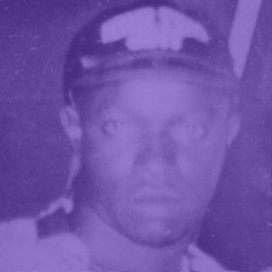Mad Cobra & Prince Jazzbo - Goldmine (Dubbed Out By Prince Jazzbo) (Vinyl)