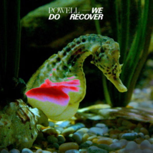 Powell - We Do Recover (Vinyl)